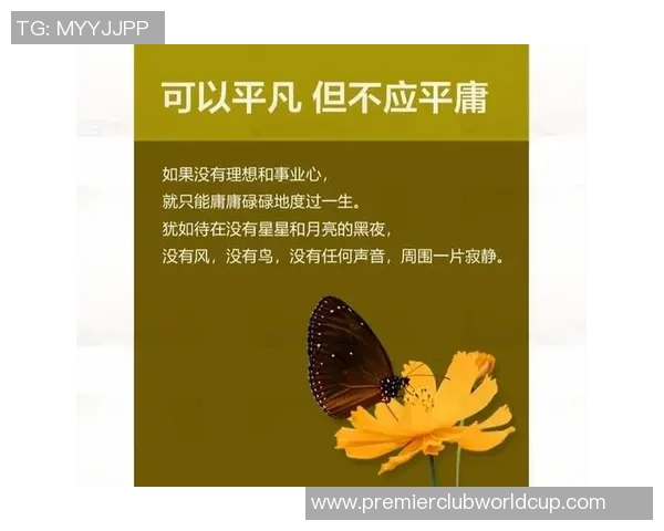 张宁的奋斗历程与人生哲学探讨：从平凡到卓越的心路历程